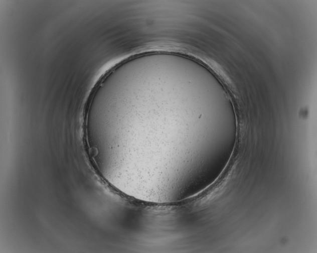 X0000096960846200802151234