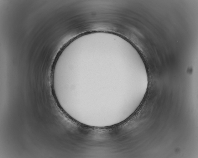 X0000096960848200802151234