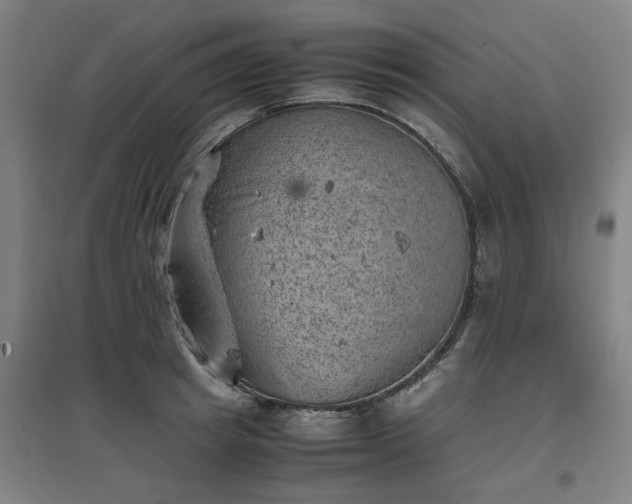 X0000096960849200802151234