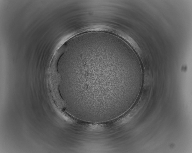 X0000096960850200802151234