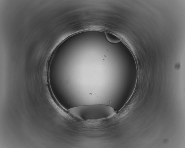 X0000096960851200802151234