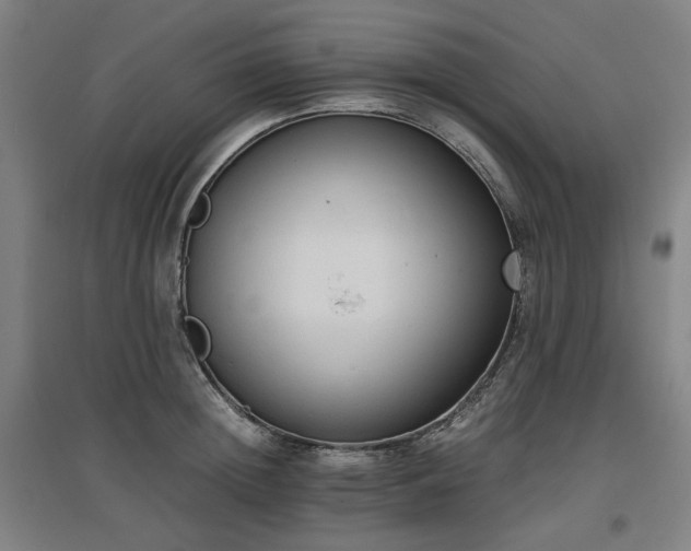 X0000096960852200802151234