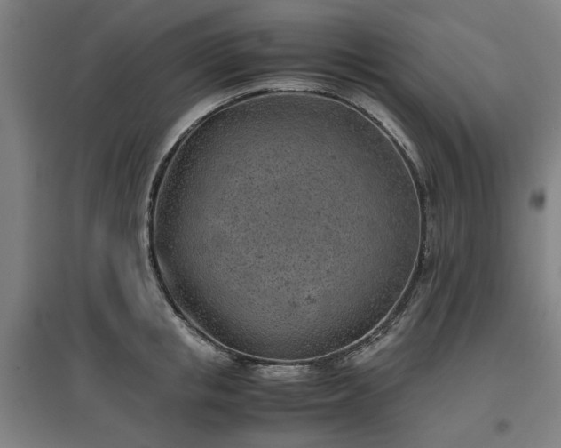 X0000096960853200802151234