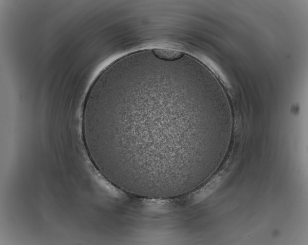 X0000096960854200802151234