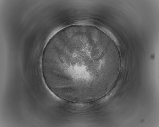 X0000096960855200802151234