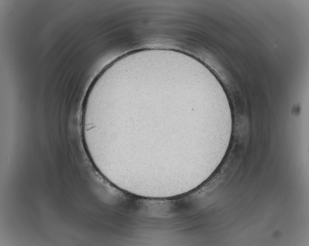 X0000096960856200802151234