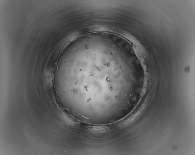 X0000096960857200802151234