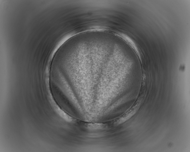 X0000096960859200802151234