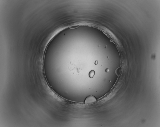 X0000096960860200802151234