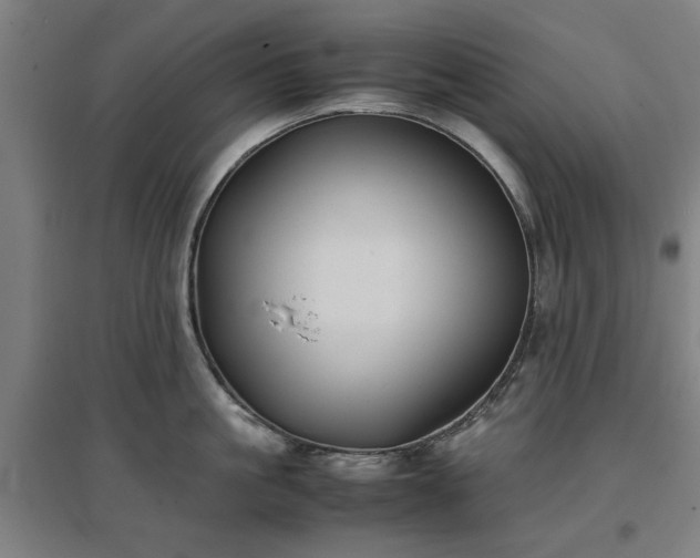 X0000096960861200802151234