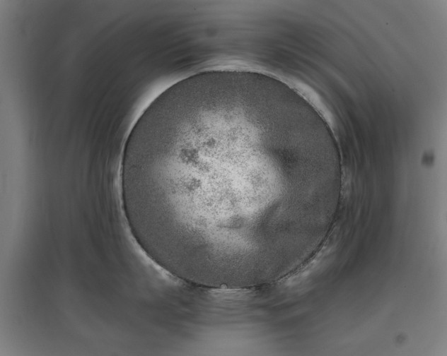 X0000096960863200802151234