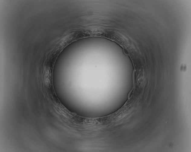 X0000096960866200802151233