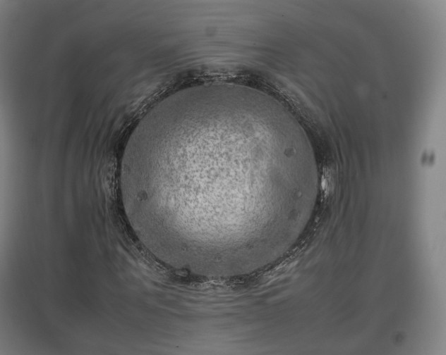 X0000096960867200802151233