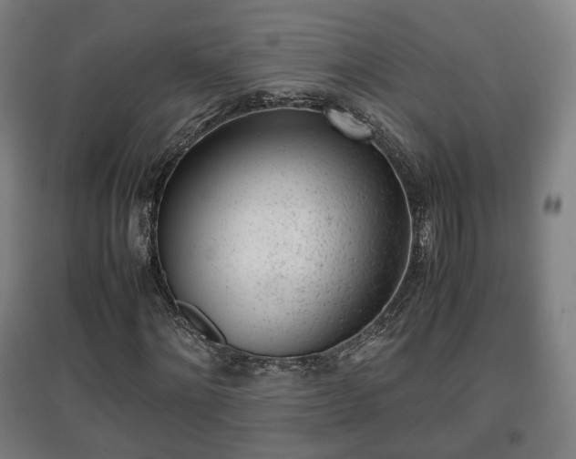 X0000096960868200802151233