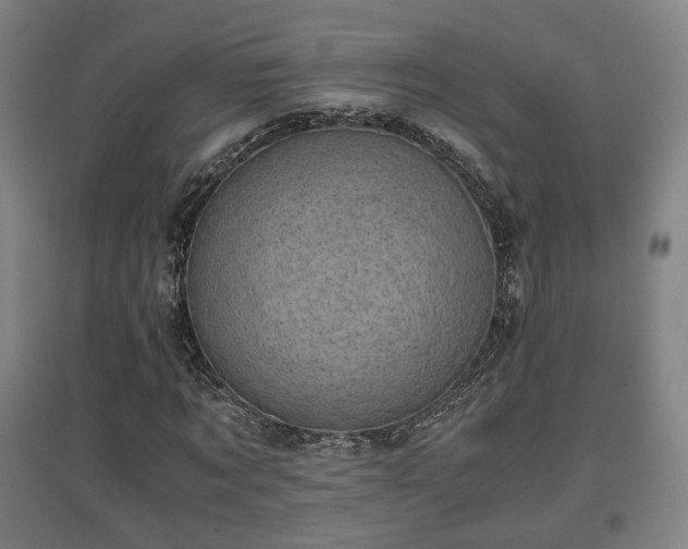 X0000096960869200802151233