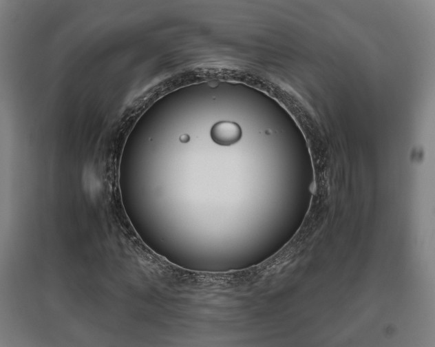 X0000096960870200802151233