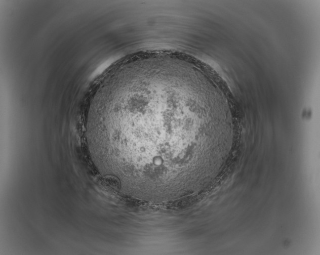 X0000096960871200802151233