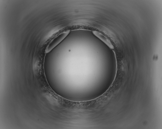 X0000096960872200802151233