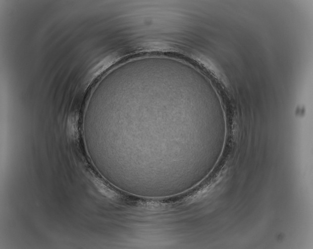 X0000096960873200802151233