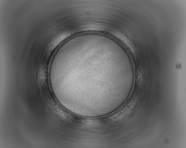 X0000096960874200802151233