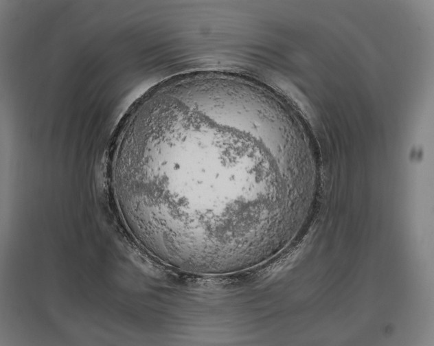 X0000096960875200802151233