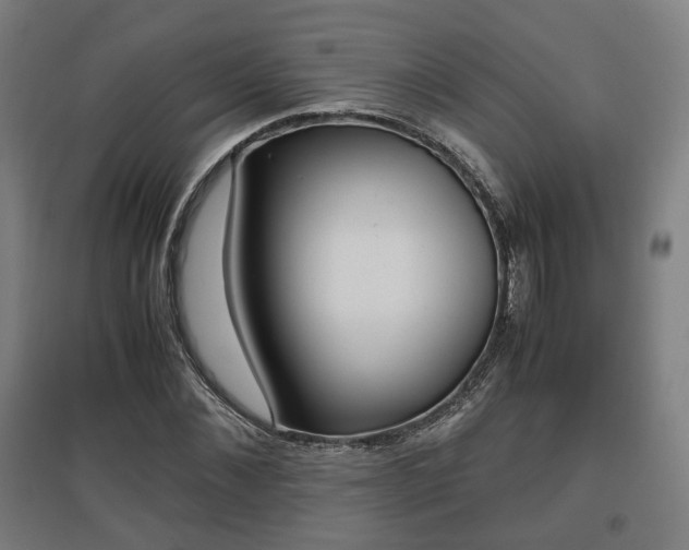 X0000096960876200802151233