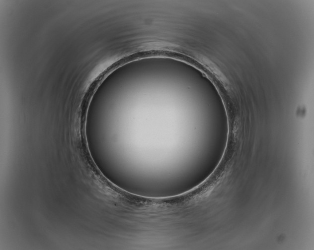 X0000096960877200802151233