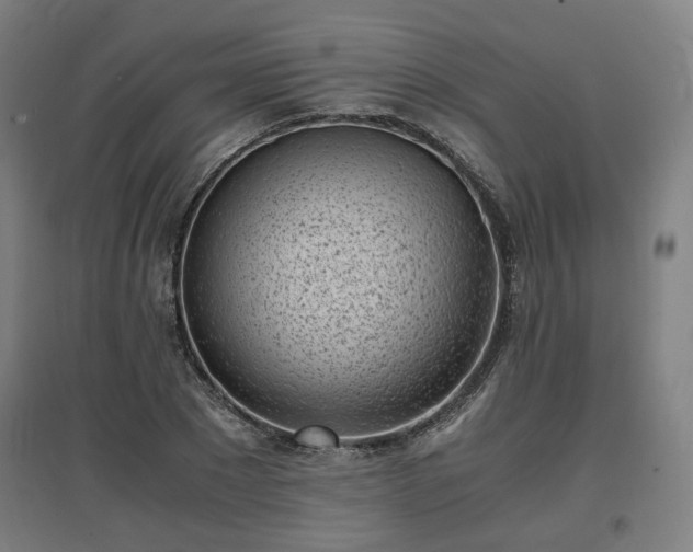 X0000096960881200802151233