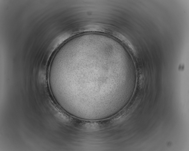 X0000096960882200802151233