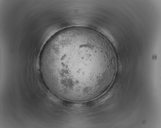 X0000096960883200802151233