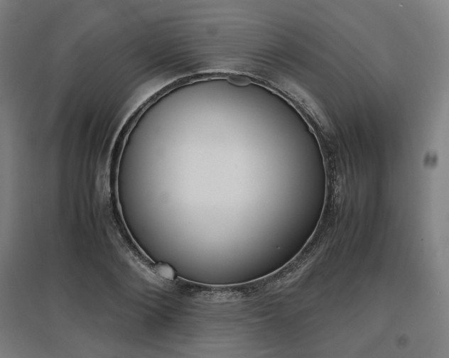 X0000096960884200802151233