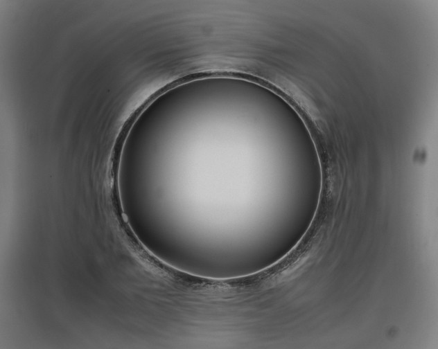 X0000096960885200802151233