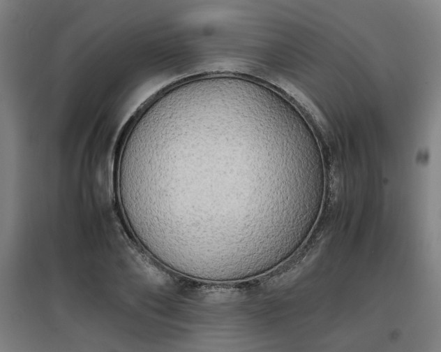 X0000096960886200802151233