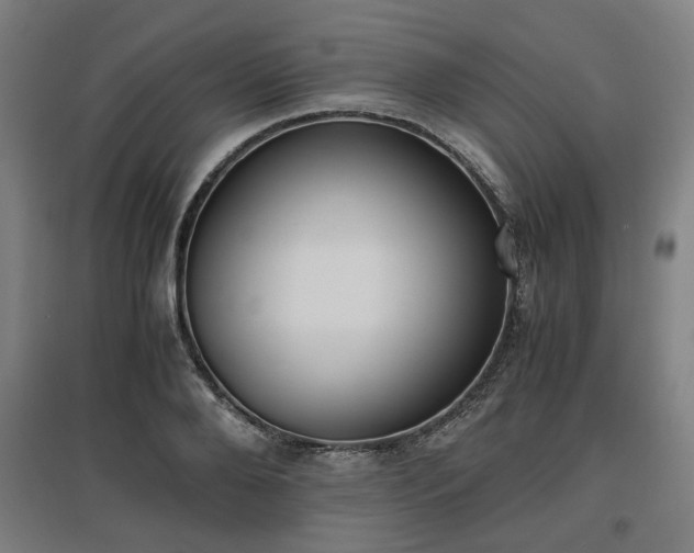 X0000096960888200802151233