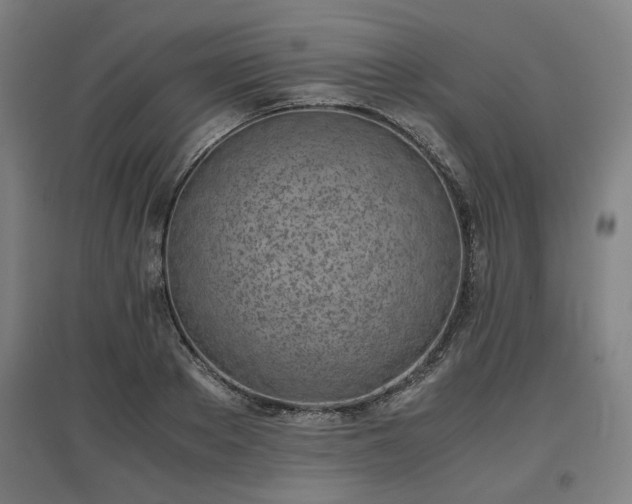 X0000096960889200802151233