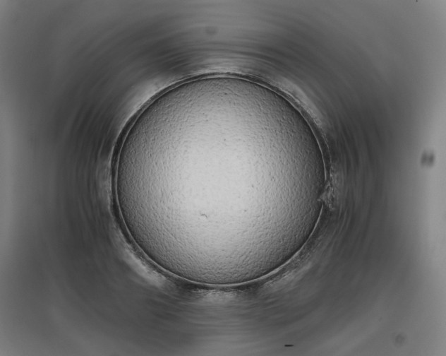 X0000096960890200802151233