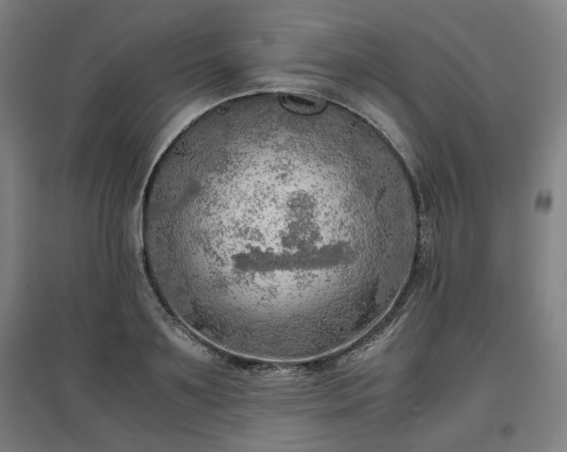 X0000096960891200802151233