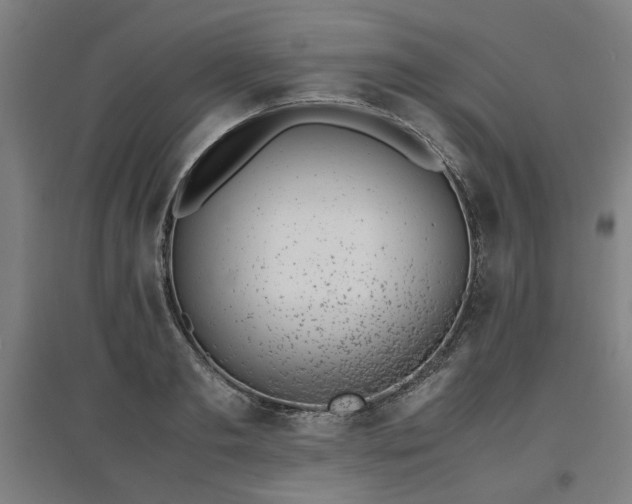 X0000096960893200802151233