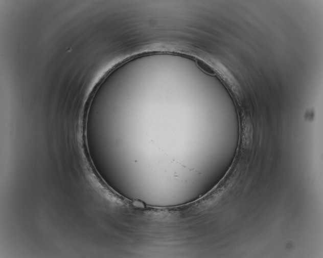 X0000096960896200802151233