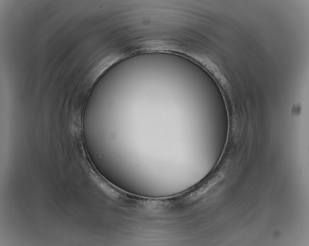 X0000096960897200802151233