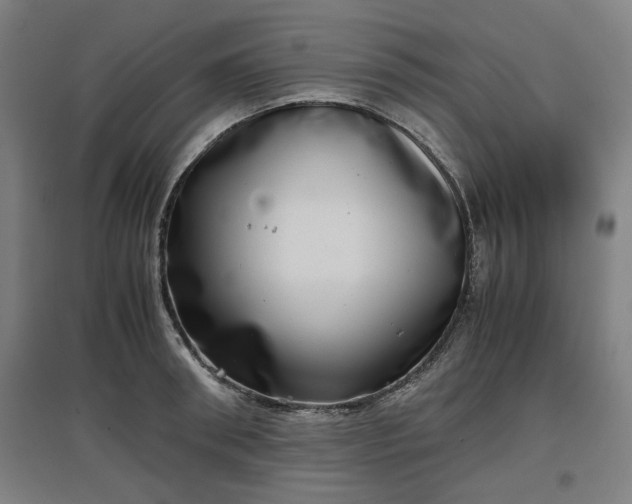 X0000096960898200802151233