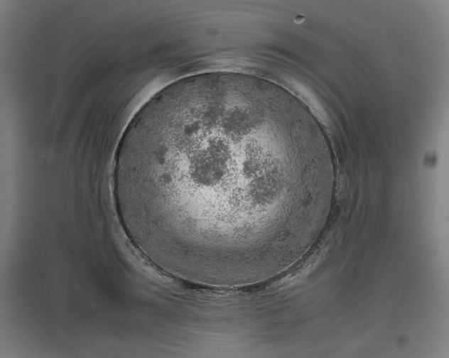 X0000096960899200802151233