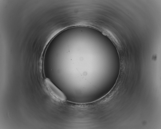 X0000096960900200802151233