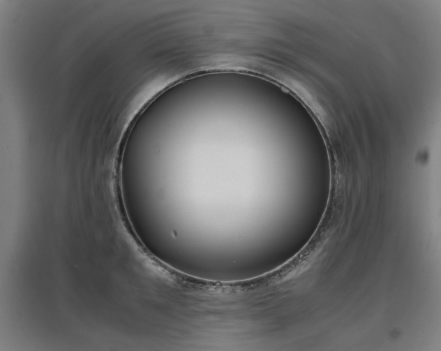 X0000096960901200802151233