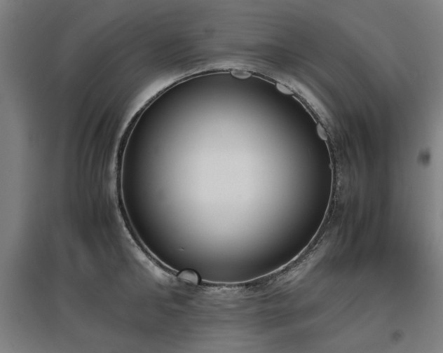 X0000096960902200802151233