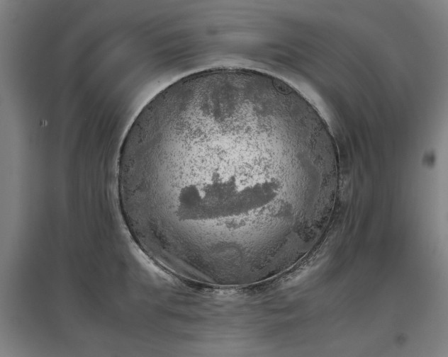 X0000096960903200802151233