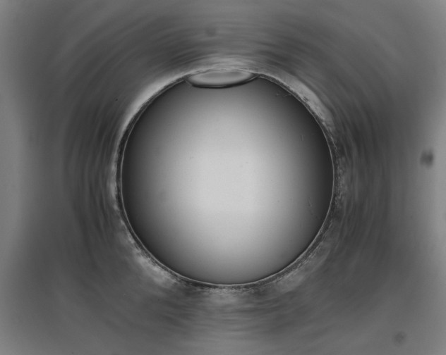 X0000096960904200802151233