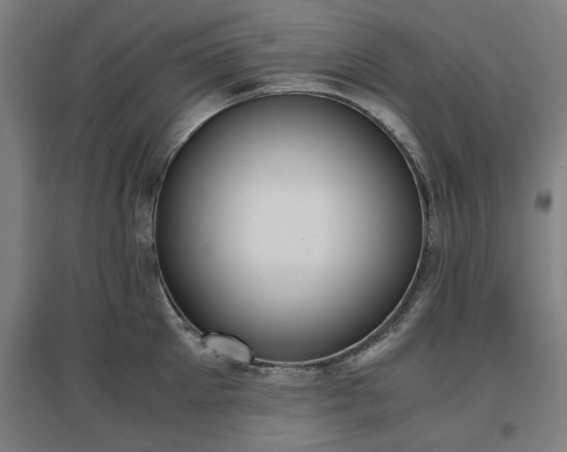 X0000096960905200802151233