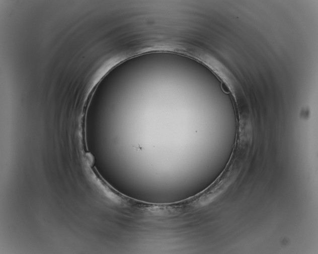 X0000096960906200802151233