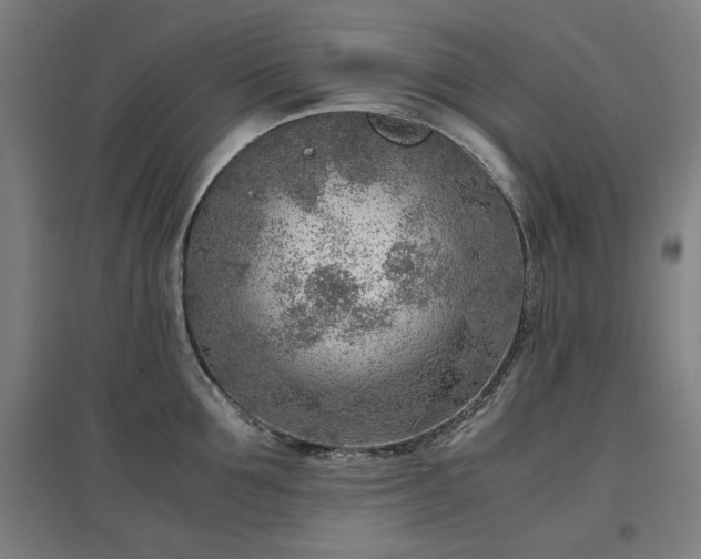 X0000096960907200802151233